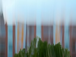 Photo Input: ICM; Thomas Wyser